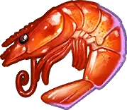 Shrimp - animal - No Background PNG
