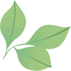 Three Leaves - twig - Transparent Background PNG