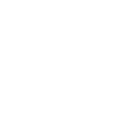 Penguin - white - animal - Transparent Layer PNG