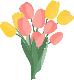 Tulip Bouquet - plant - flowers - Transparent Background PNG