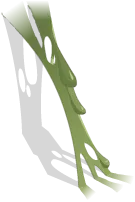 Green Plant Stem - green - No Background PNG