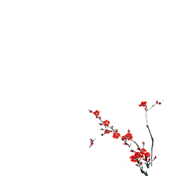 Plum Blossom - red - Popular Download PNG