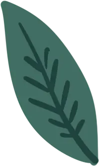 Leaf - Lossless PNG - Free PNG