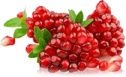 Pomegranate - Free for Commercial Use PNG - sweet