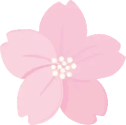 Cherry Blossom - Trending PNG - beautiful - Pic 1