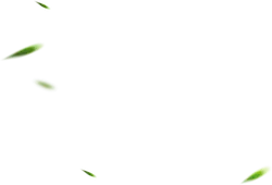 Green Light Spot - green - Free Download PNG
