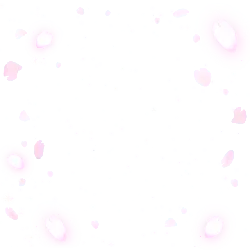 Pink Petals Falling - petal - night sky - High Resolution PNG