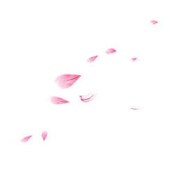 Pink Petals Falling - pink - background - Free PNG