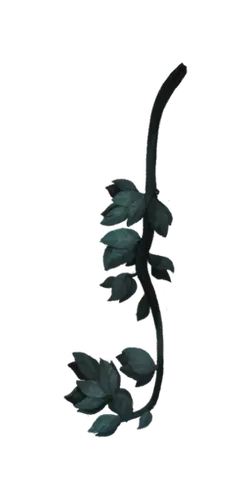 Vine Plant - nature - growth - Free PNG
