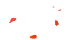Rose Petals - petal - Designer's Pick PNG