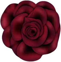 Rose - nature - romantic - PNG Images