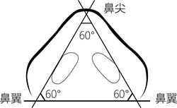 Free for Commercial Use PNG - night hunter - Black Owl - Pic 2