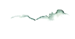 Bat - High Resolution PNG