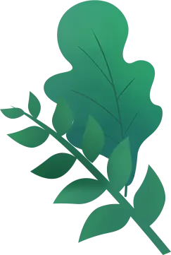 Leaves - High Resolution PNG
