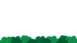 Green Forest - High Quality PNG