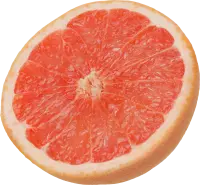 Grapefruit - Curated PNG - Free for Commercial Use PNG