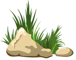 Grass and Stone - green plants - PNG Images