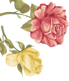 Rose - yellow - No Background PNG