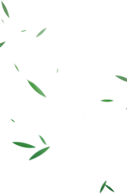 Green Leaves - green leaves - falling - Free PNG