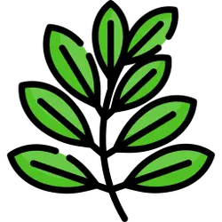 Green Leaf Logo - design - Free PNG