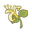 Yellow Flower - petal - yellow - PNG