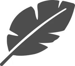 Feather - Highly Rated PNG