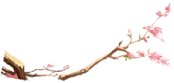 Cherry Blossom Branch - nature - Recommended PNG