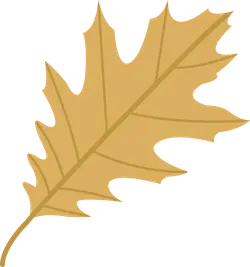 Oak Leaf - leaf - autumn - Free Download PNG
