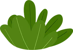 Green Plant - growth - Transparent Background PNG