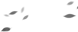 Leaves Falling - black and white - PNG