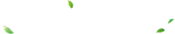 Leaves Falling - leaves - High Quality PNG