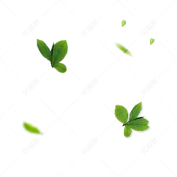Leaves Falling - leaves - peaceful - No Watermark PNG