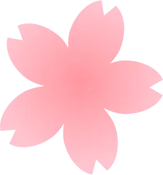 pink - Transparent Background PNG - Cherry Blossom