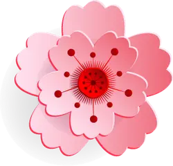 Cherry Blossom - Lossless PNG - flower - Pic 1