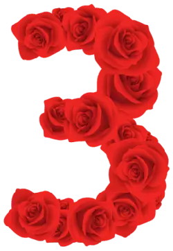 Rose Number 3 - number - Transparent Background PNG