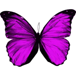 Purple Butterfly - Designer's Pick PNG