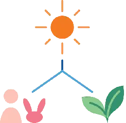 Sun、 Rabbit and Plant - nature - Free Download PNG