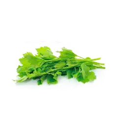 Lettuce - fresh - vegetable - Free PNG