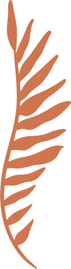Palm Leaf - nature - High Quality PNG