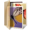 Butterfly - color - beautiful - No Watermark PNG