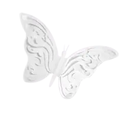 Butterfly - insect - decorative - Transparent Background PNG