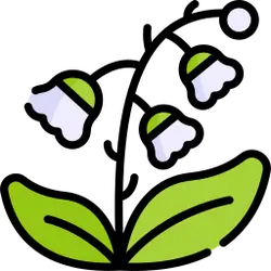 Lily of the Valley - lily of valley - PNG Images