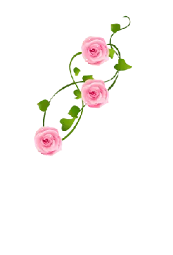 Pink Rose Vine - Popular Download PNG
