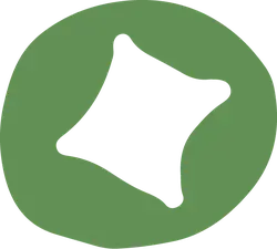 Four Leaf Clover - lucky - symbol - High Resolution PNG
