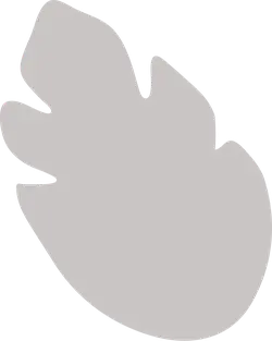Leaf - leaf - Trending PNG
