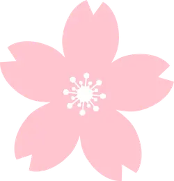 Cherry Blossom - nature - japan - Transparent Layer PNG