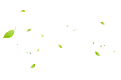 Leaves Falling - nature - High Quality PNG