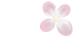 Four Leaf Clover - lucky - High Quality PNG