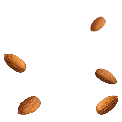 Almond - snack - Trending PNG