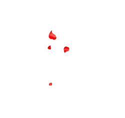 Red Petals - petal - Designer's Pick PNG